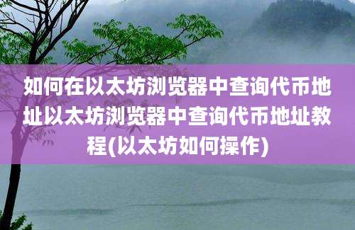 如何在以太坊浏览器中查询代币地址以太坊浏览器中查询代币地址教程(以太坊如何操作)