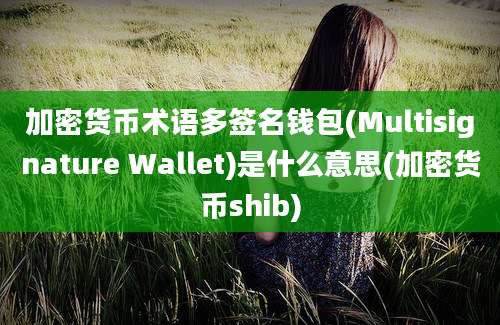 加密货币术语多签名钱包(Multisignature Wallet)是什么意思(加密货币shib)