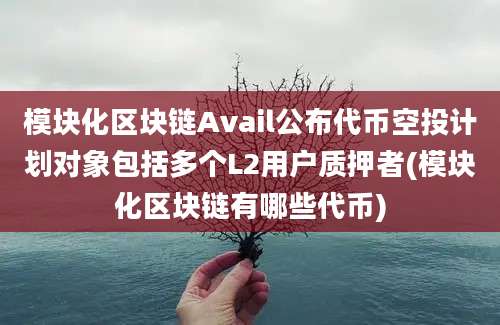 模块化区块链Avail公布代币空投计划对象包括多个L2用户质押者(模块化区块链有哪些代币)