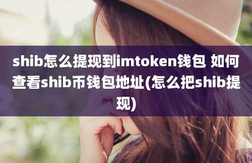 shib怎么提现到imtoken钱包 如何查看shib币钱包地址(怎么把shib提现)