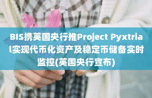 BIS携英国央行推Project Pyxtrial实现代币化资产及稳定币储备实时监控(英国央行宣布)