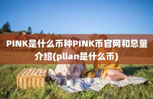 PINK是什么币种PINK币官网和总量介绍(plian是什么币)