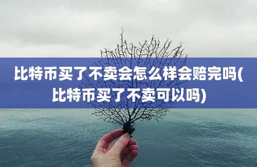 比特币买了不卖会怎么样会赔完吗(比特币买了不卖可以吗)