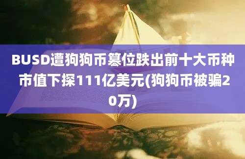 BUSD遭狗狗币篡位跌出前十大币种 市值下探111亿美元(狗狗币被骗20万)