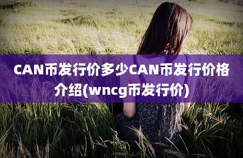 CAN币发行价多少CAN币发行价格介绍(wncg币发行价)