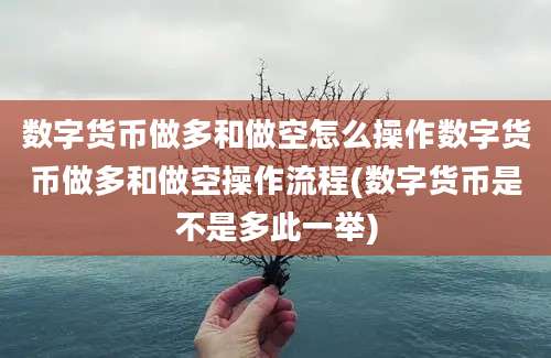 数字货币做多和做空怎么操作数字货币做多和做空操作流程(数字货币是不是多此一举)