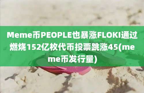 Meme币PEOPLE也暴涨FLOKI通过燃烧152亿枚代币投票跳涨45(meme币发行量)