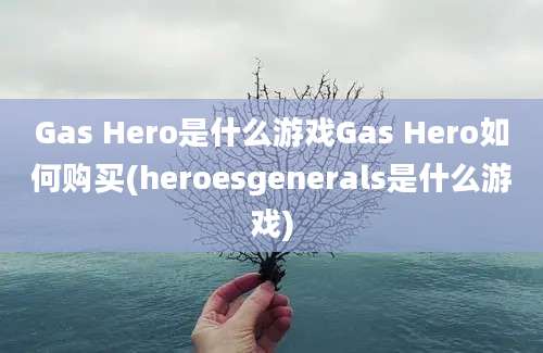 Gas Hero是什么游戏Gas Hero如何购买(heroesgenerals是什么游戏)