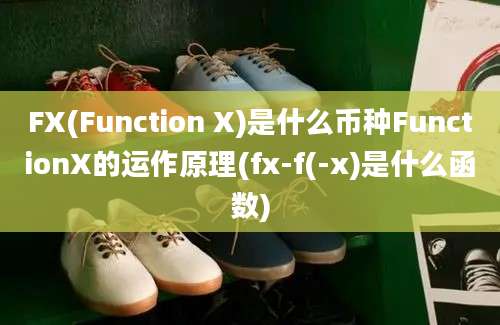 FX(Function X)是什么币种FunctionX的运作原理(fx-f(-x)是什么函数)