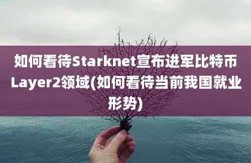 如何看待Starknet宣布进军比特币Layer2领域(如何看待当前我国就业形势)