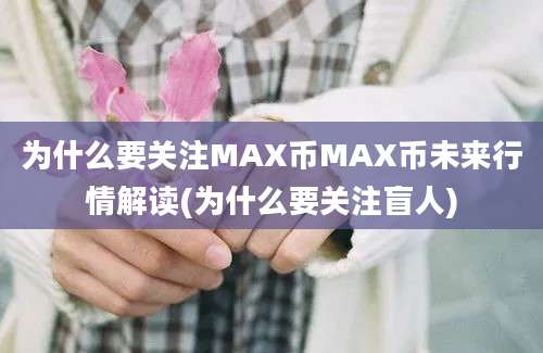 为什么要关注MAX币MAX币未来行情解读(为什么要关注盲人)