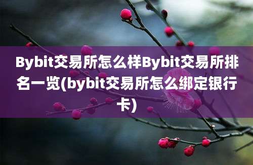 Bybit交易所怎么样Bybit交易所排名一览(bybit交易所怎么绑定银行卡)