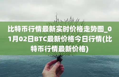 比特币行情最新实时价格走势图_01月02日BTC最新价格今日行情(比特币行情最新价格)