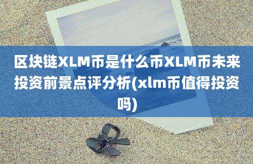 区块链XLM币是什么币XLM币未来投资前景点评分析(xlm币值得投资吗)