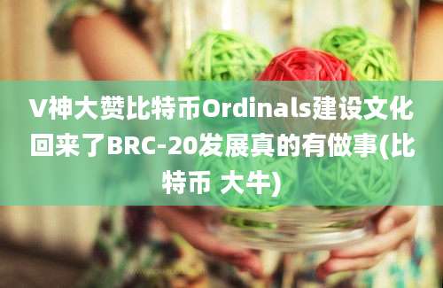 V神大赞比特币Ordinals建设文化回来了BRC-20发展真的有做事(比特币 大牛)