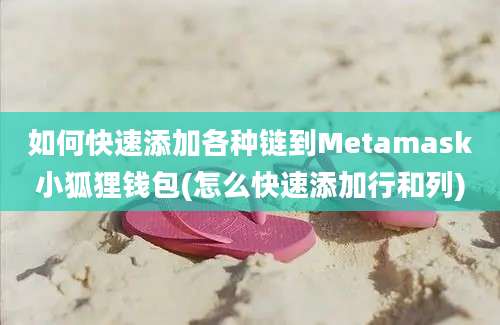 如何快速添加各种链到Metamask小狐狸钱包(怎么快速添加行和列)