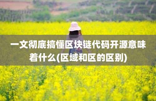 一文彻底搞懂区块链代码开源意味着什么(区域和区的区别)