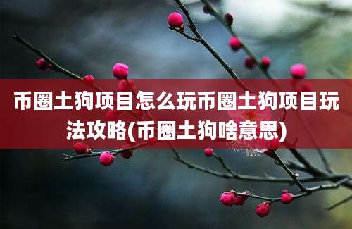 币圈土狗项目怎么玩币圈土狗项目玩法攻略(币圈土狗啥意思)