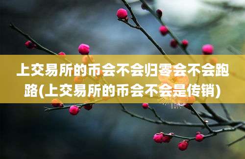 上交易所的币会不会归零会不会跑路(上交易所的币会不会是传销)