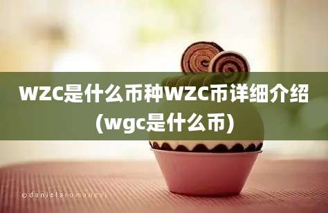 WZC是什么币种WZC币详细介绍(wgc是什么币)