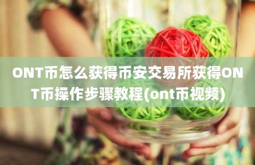 ONT币怎么获得币安交易所获得ONT币操作步骤教程(ont币视频)