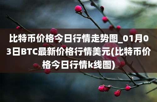 比特币价格今日行情走势图_01月03日BTC最新价格行情美元(比特币价格今日行情k线图)