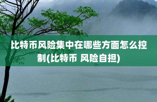 比特币风险集中在哪些方面怎么控制(比特币 风险自担)