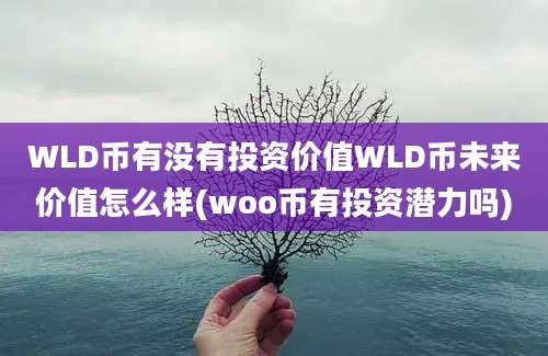 WLD币有没有投资价值WLD币未来价值怎么样(woo币有投资潜力吗)