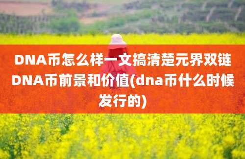 DNA币怎么样一文搞清楚元界双链DNA币前景和价值(dna币什么时候发行的)