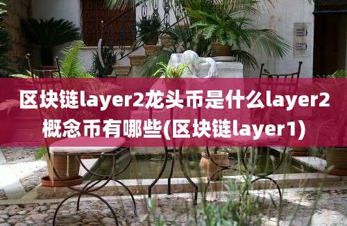 区块链layer2龙头币是什么layer2概念币有哪些(区块链layer1)