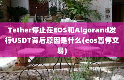 Tether停止在EOS和Algorand发行USDT背后原因是什么(eos暂停交易)