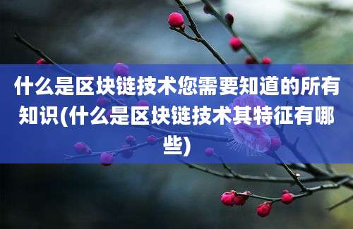 什么是区块链技术您需要知道的所有知识(什么是区块链技术其特征有哪些)