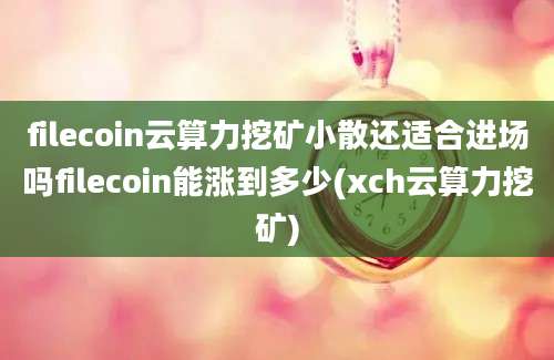 filecoin云算力挖矿小散还适合进场吗filecoin能涨到多少(xch云算力挖矿)