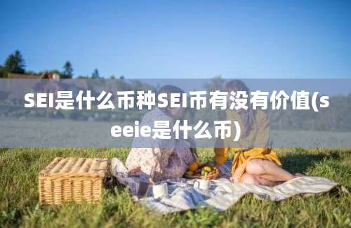 SEI是什么币种SEI币有没有价值(seeie是什么币)