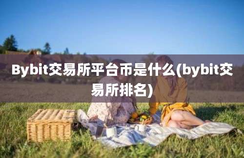 Bybit交易所平台币是什么(bybit交易所排名)