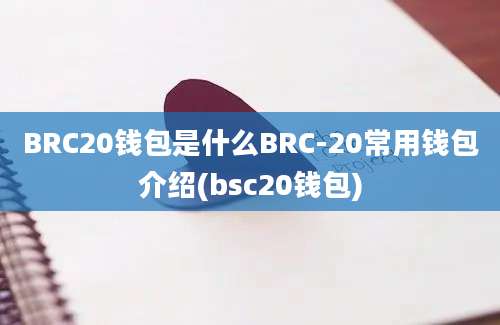 BRC20钱包是什么BRC-20常用钱包介绍(bsc20钱包)