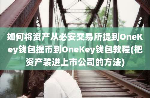 如何将资产从必安交易所提到OneKey钱包提币到OneKey钱包教程(把资产装进上市公司的方法)