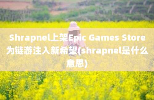 Shrapnel上架Epic Games Store为链游注入新希望(shrapnel是什么意思)