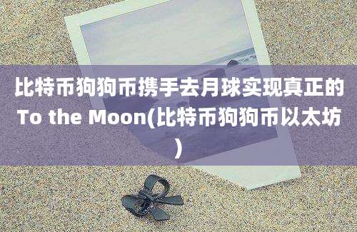 比特币狗狗币携手去月球实现真正的To the Moon(比特币狗狗币以太坊)