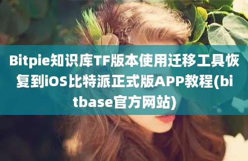 Bitpie知识库TF版本使用迁移工具恢复到iOS比特派正式版APP教程(bitbase官方网站)