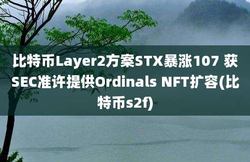 比特币Layer2方案STX暴涨107 获SEC准许提供Ordinals NFT扩容(比特币s2f)