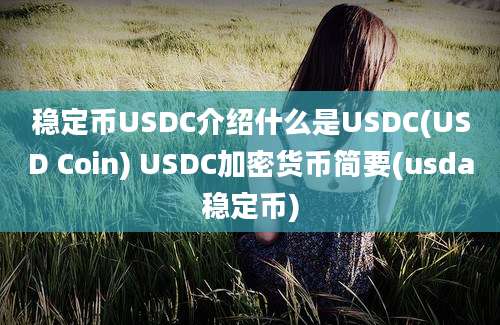 稳定币USDC介绍什么是USDC(USD Coin) USDC加密货币简要(usda稳定币)