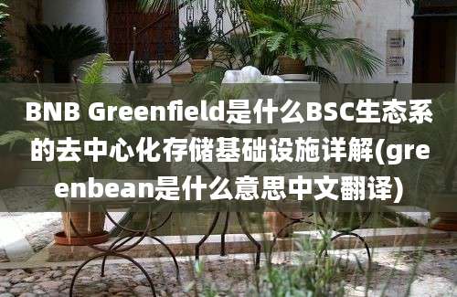 BNB Greenfield是什么BSC生态系的去中心化存储基础设施详解(greenbean是什么意思中文翻译)