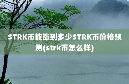 STRK币能涨到多少STRK币价格预测(strk币怎么样)