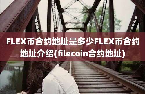 FLEX币合约地址是多少FLEX币合约地址介绍(filecoin合约地址)