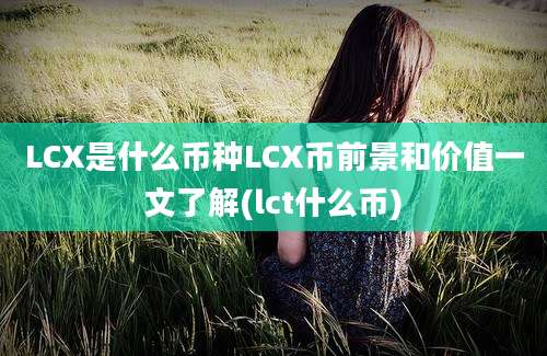 LCX是什么币种LCX币前景和价值一文了解(lct什么币)