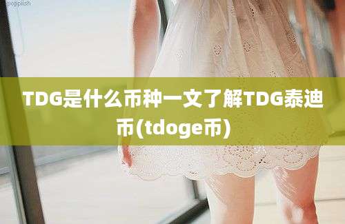 TDG是什么币种一文了解TDG泰迪币(tdoge币)