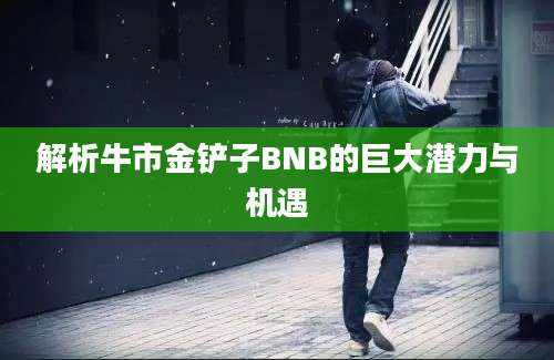 解析牛市金铲子BNB的巨大潜力与机遇