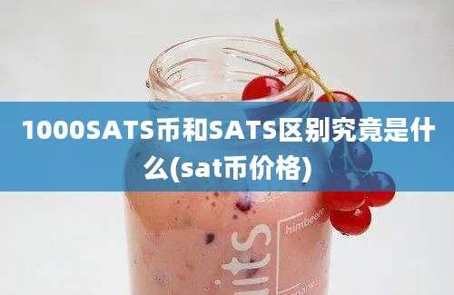 1000SATS币和SATS区别究竟是什么(sat币价格)