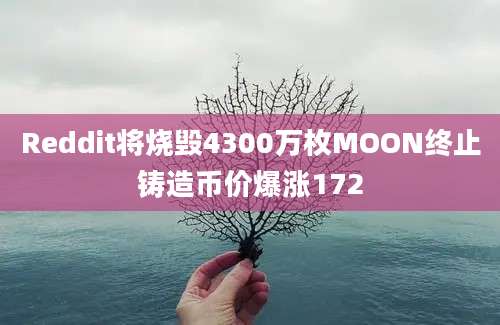 Reddit将烧毁4300万枚MOON终止铸造币价爆涨172